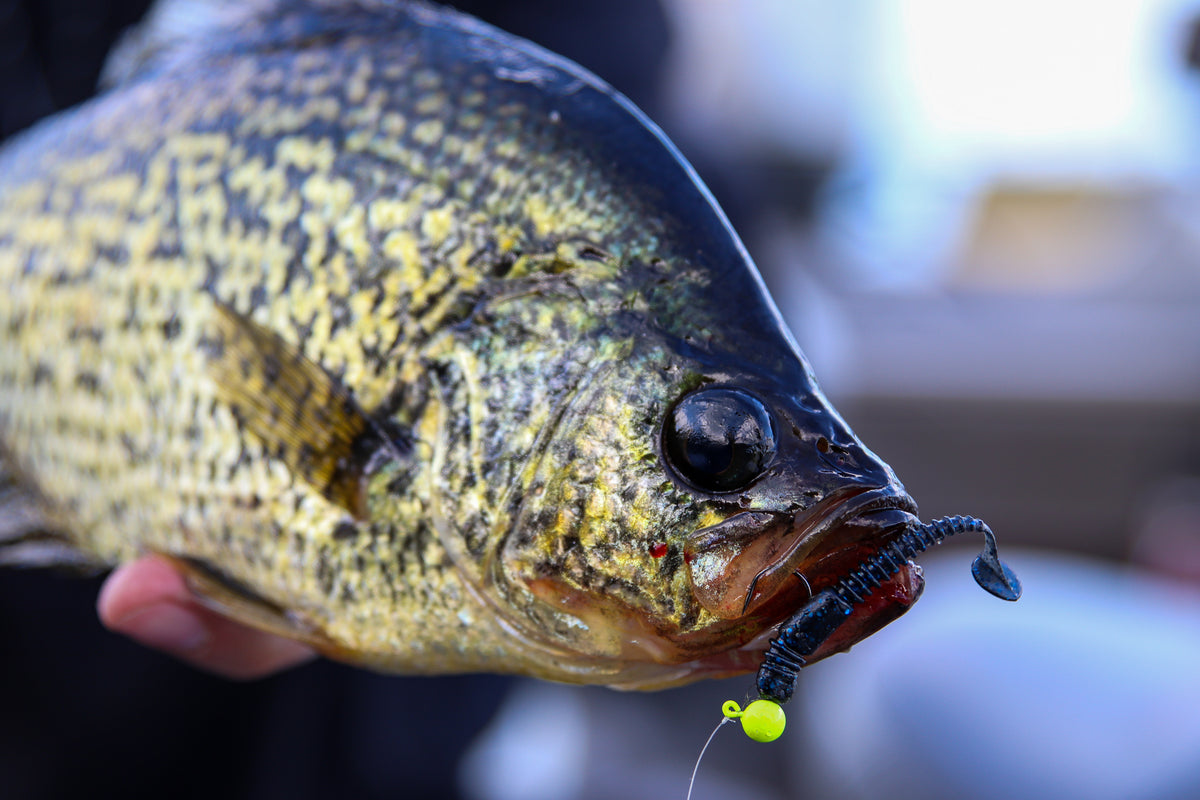 Simply CrappieYour one stop source for all your Crappie jig fishing  needs!