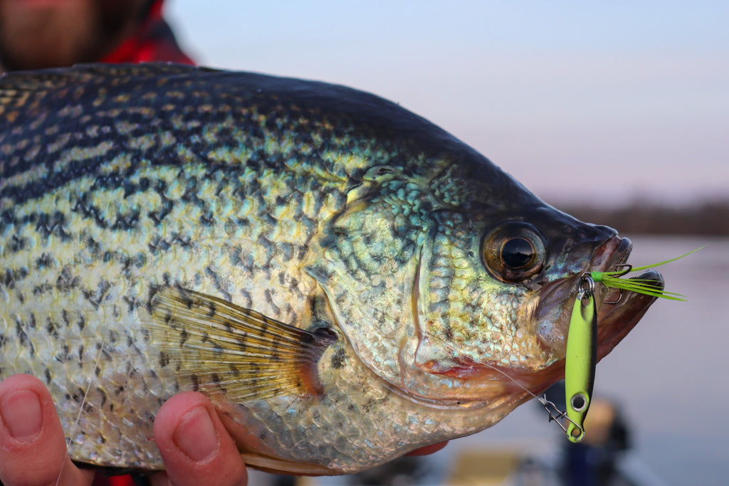 How to catch more Summer Crappie/ Change Hook size to catch more crappie/  Down size hooks in summer 