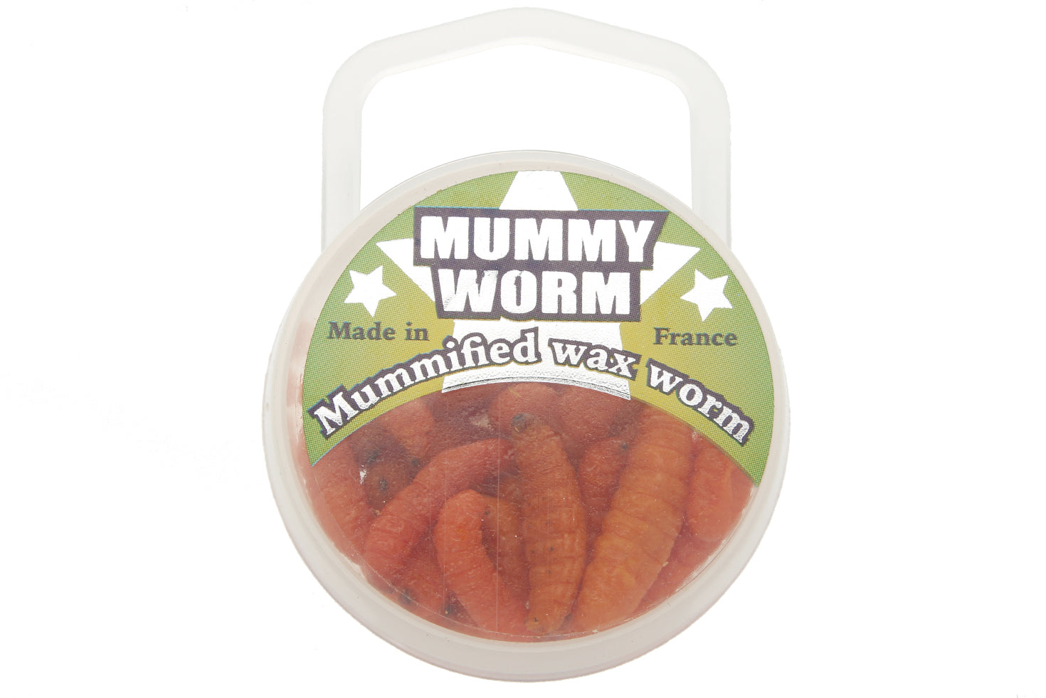 Mummy Worm