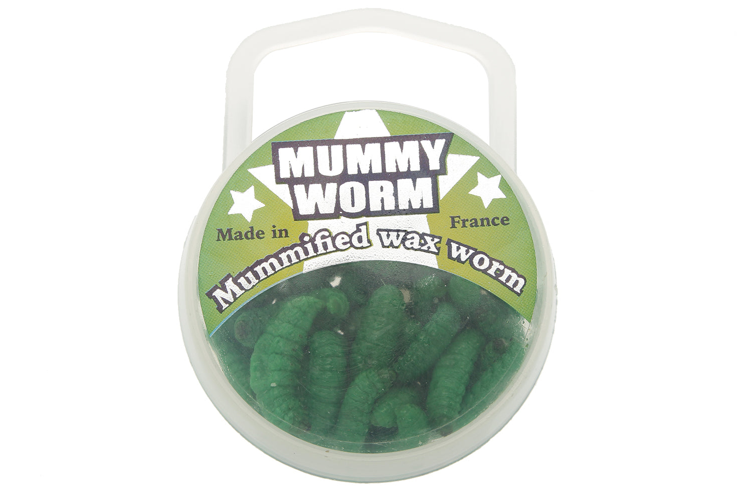 Mummy Worm